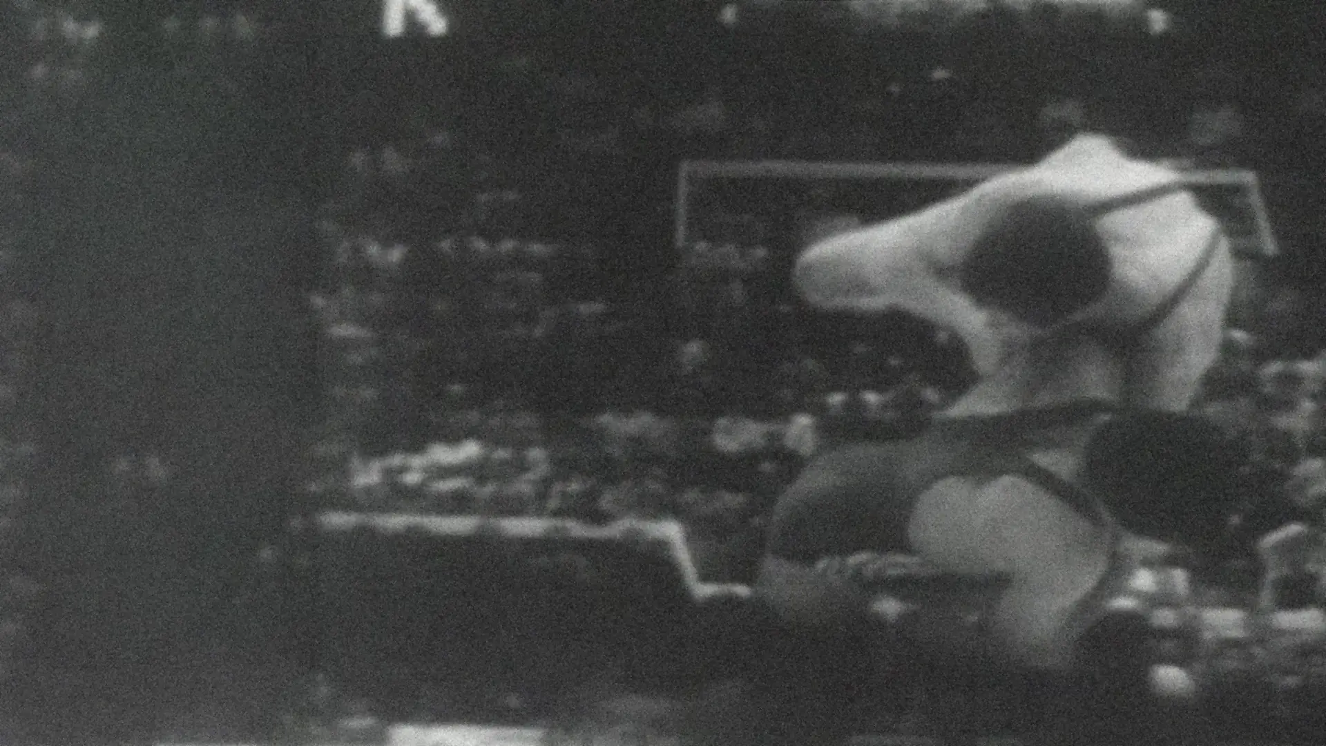 The wrestler-Banner
